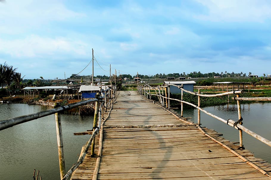 Bridge, Bamboo, Tour, pier, water, wood - material, cloud - sky, sky, nautical vessel, transportation