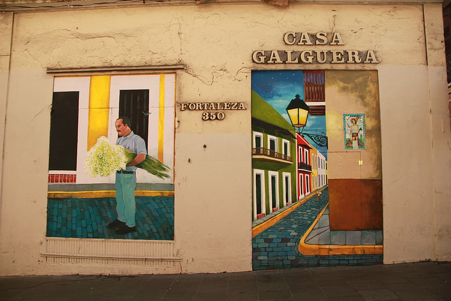 wall, painting, puerto rico, san juan, man, flowers, street, architecture, building exterior, built structure