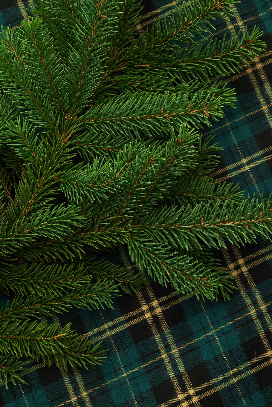 seasonal, backgrounds, christmas, flat lay, pine, tree, branches, festive, copyspace, holiday