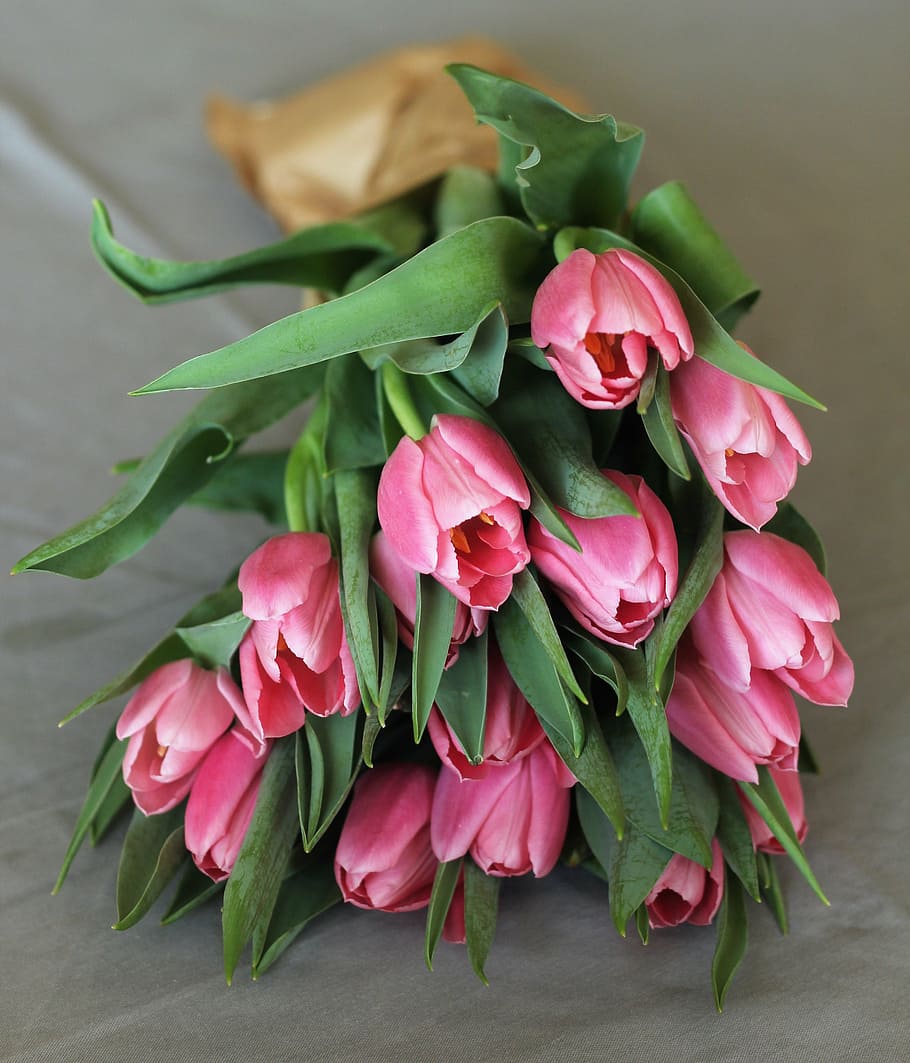 selective, focus photography, pink, tulip, tulips, bouquet, flowers, plant, decoration, beauty