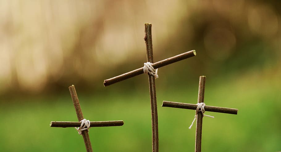 selective, focus photography, three, brown, wooden, crossed, passion, three crosses, cross, good friday