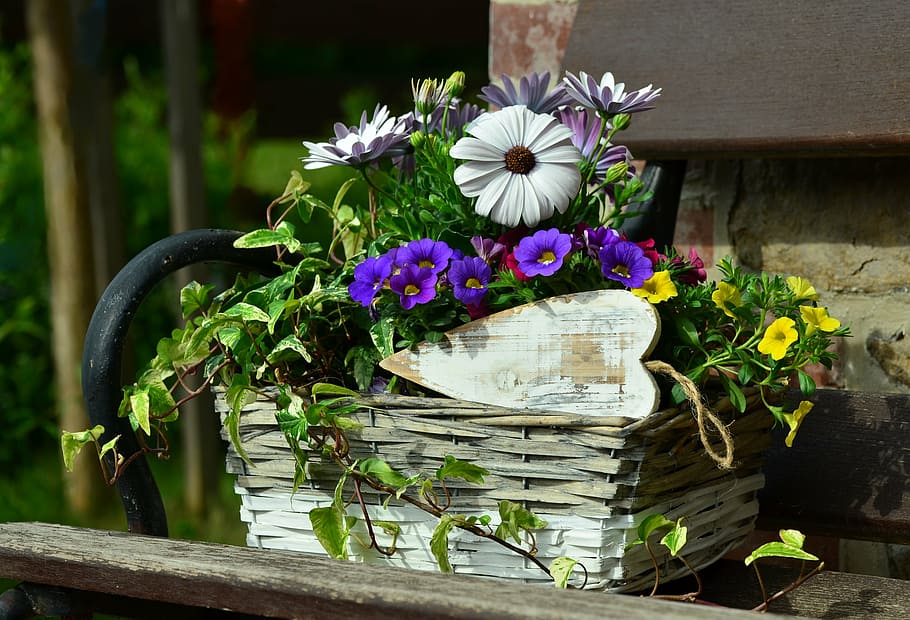 purple, white, yellow, petaled flowers centerpiece, bloom, daytime, flower basket, floral decoration, still life, garden