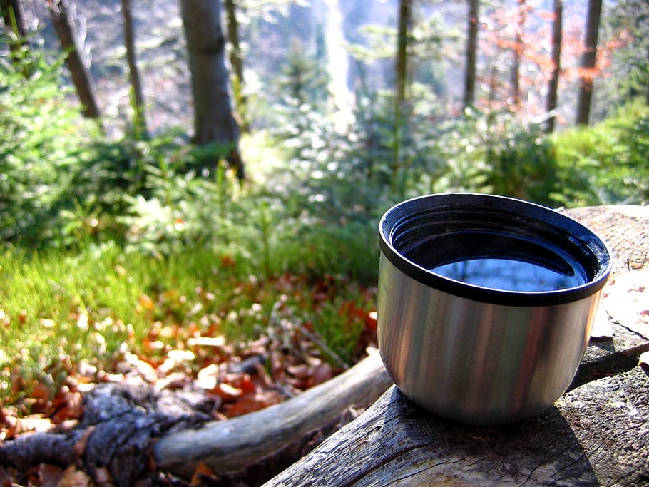 tea, mountains, vacuum flask, rest, forest, trunk, tourism, beskids, poland, tree