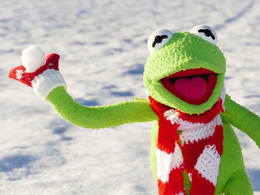 kermit, frog, holding, snowball, snow ball, throw, snow, winter, cold, fun