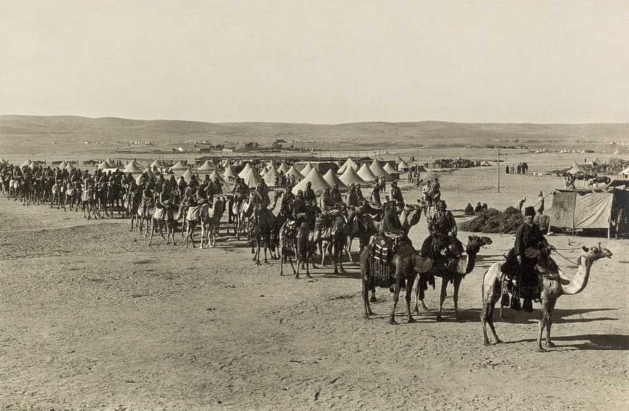 foto en escala de grises, gente, equitación, camello, caravana, camellos, Beerseba, 1915, blanco y negro, humano