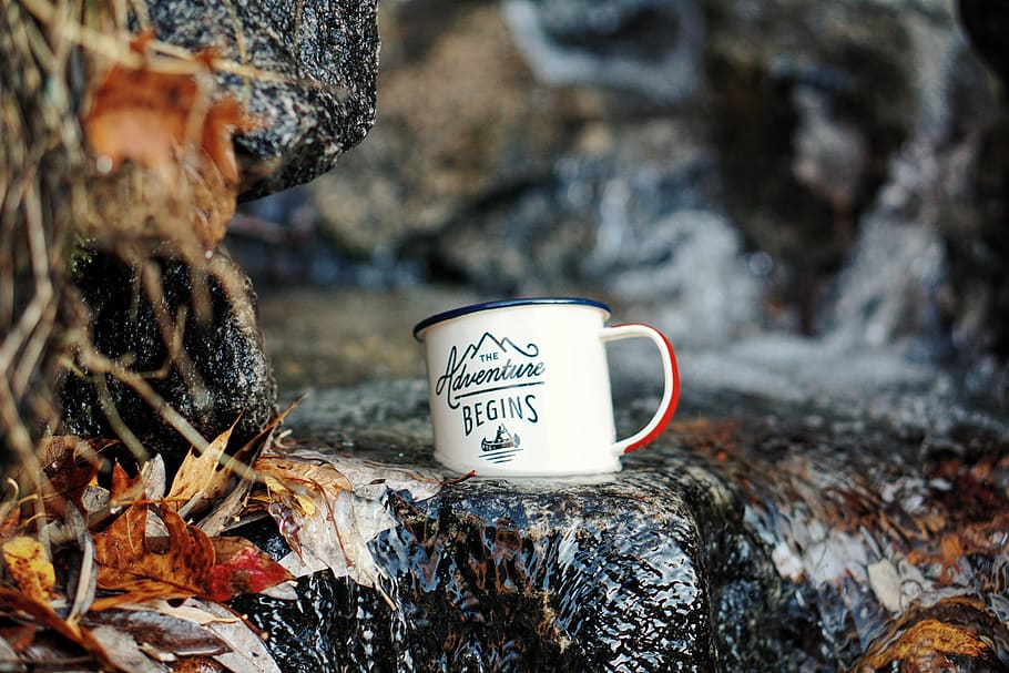 cup, mug, logo, rock, water, leaf, fall, river, text, rock - object