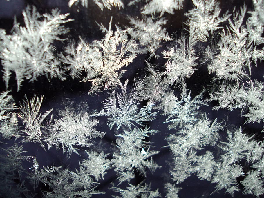 ice, crystals, frozen, cold, eiskristalle, frost, nature, hoarfrost, iced, crystal formation