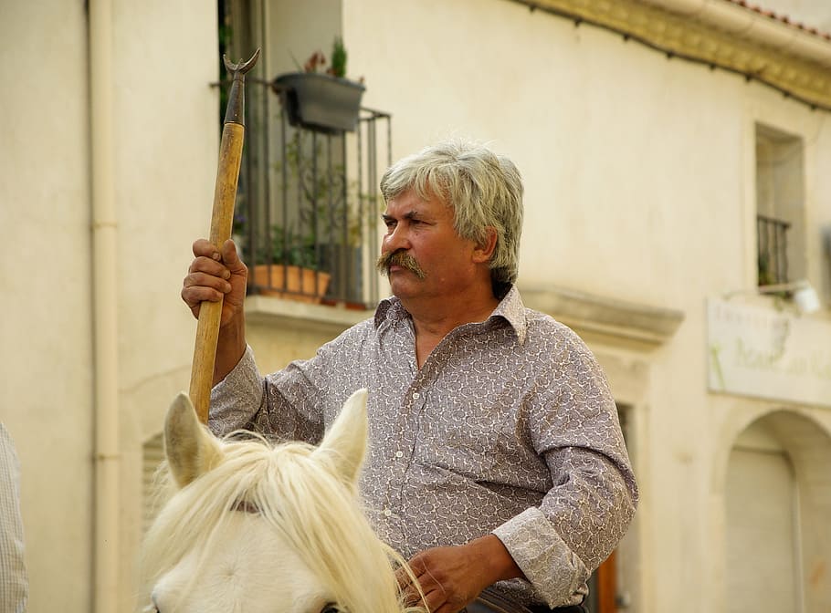 france, camargue, gardian, village festival, one person, horse, domestic animals, domestic, mammal, adult