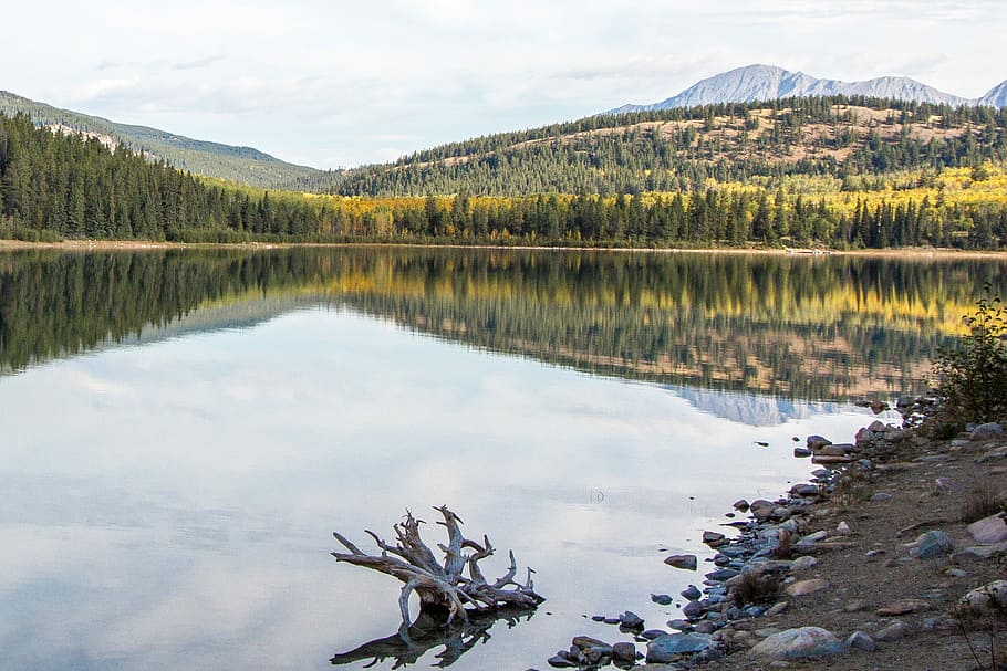 Patricia Lake, Lake, Jasper, Canada, lake, jasper, park, alberta, nature, water, scenic