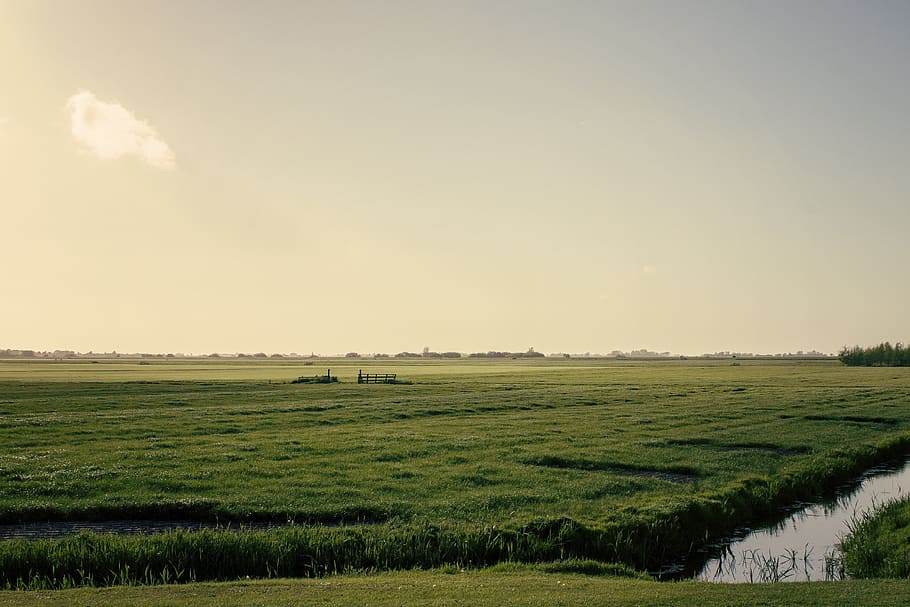 verde, campo de hierba, durante el día, Frisia, paisaje, tierras de cultivo, países bajos, holanda, primavera, soleado
