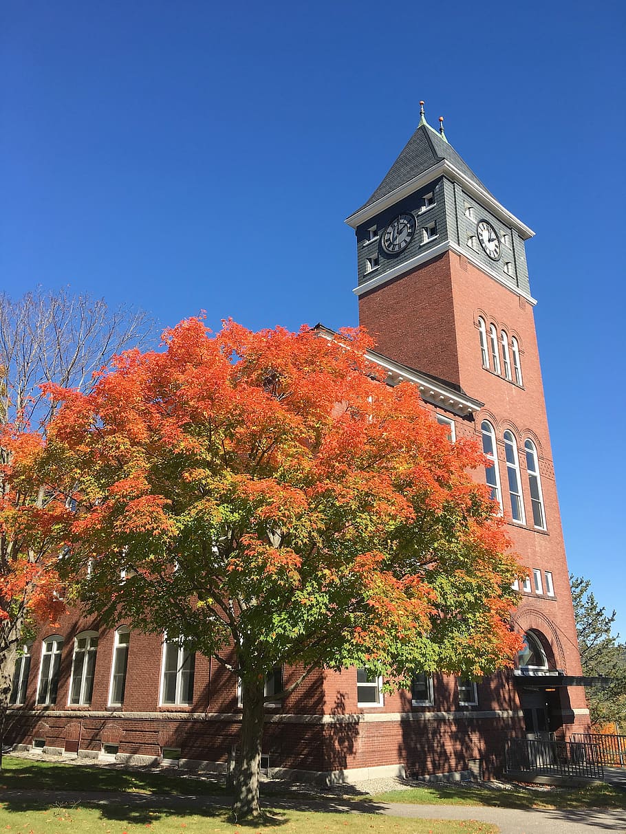 Himmel, Tree, Sunshine, autumn, plymouth state university, plymouth, new hampshire, united states, building exterior, architecture