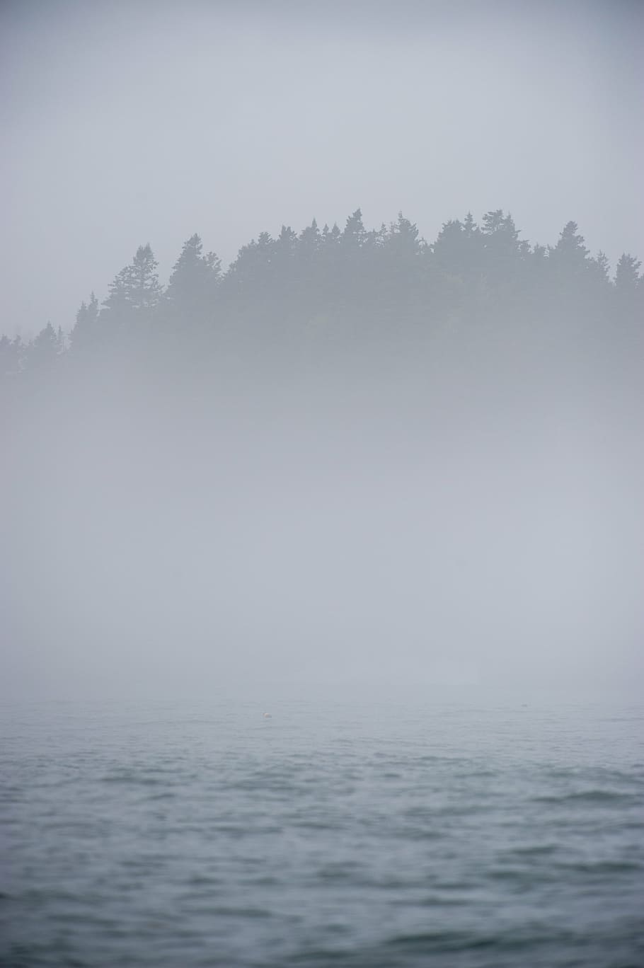 fog covered island, sea, ocean, water, waves, nature, trees, fog, tree, beauty in nature