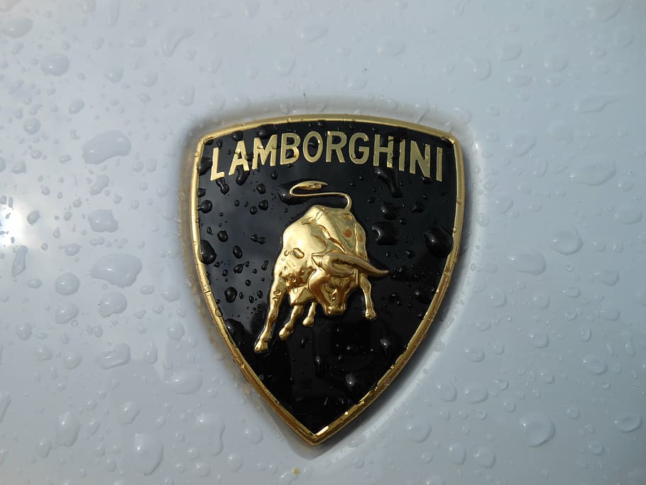 fotografia de close-up, emblema lamborghini, lamborghini, branco, brasão de armas, logotipo, veículo, automotivo, luxo, cupê