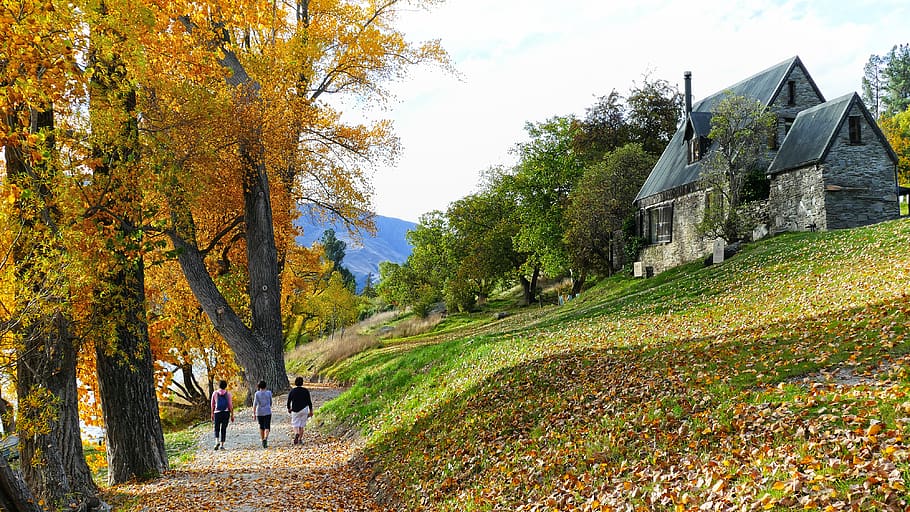 otoño, paisaje, árboles, camino, caminar, personas, naturaleza, al aire libre, casa, hojas
