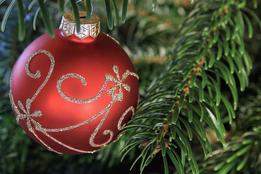 christmas pictures, christmas, pine tree, christmas ornament, balls, tree decorations, fir green, christmas decorations, christmas decoration, advent