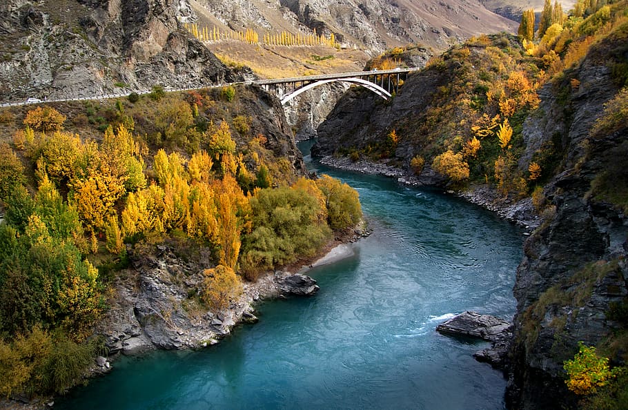 Kawarau, Gorge, body of water, trees, water, scenics - nature, beauty in nature, river, plant, tree