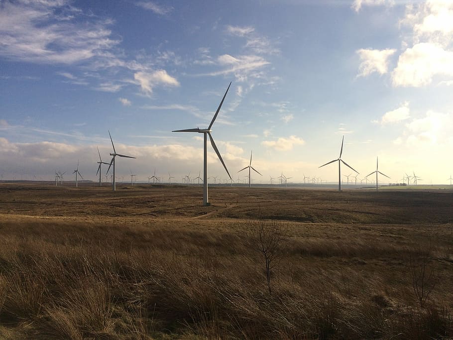 Wind Farm, Whitelee, Renewable Energy, renewables, energy, scotland, wind power, environmental conservation, wind turbine, alternative energy