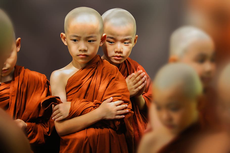 monjes, budismo theravada, novicios, theravada samanera, monasterio, budista, budismo, religiosos, theravada, pequeños monjes