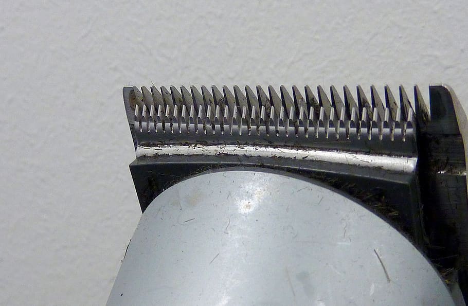 hair trimmer, hairdresser, trim, shaving, beard cutters, close-up, high angle view, old, metal, indoors