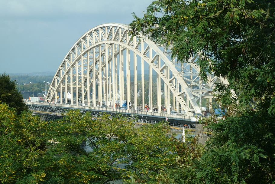 the bridge, nijmegen, bridge, construction, steel, gelderland, structure, built structure, architecture, tree