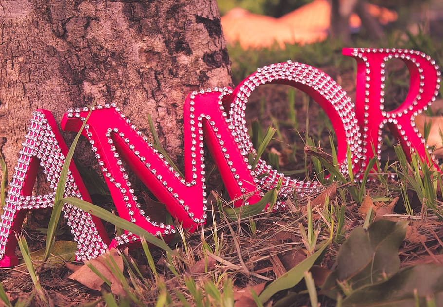 amor marquee letters, soul, love, life, poetry, plant, close-up, red, nature, text