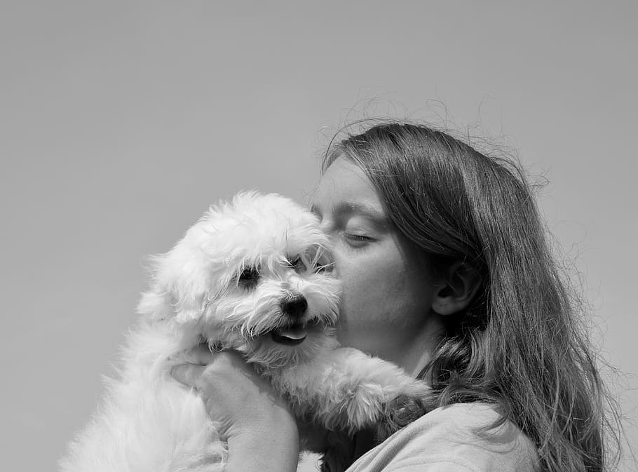 kiss, puppy, dog, girl, young woman, tenderness, complicity, affection, domestic animal, domestic animals
