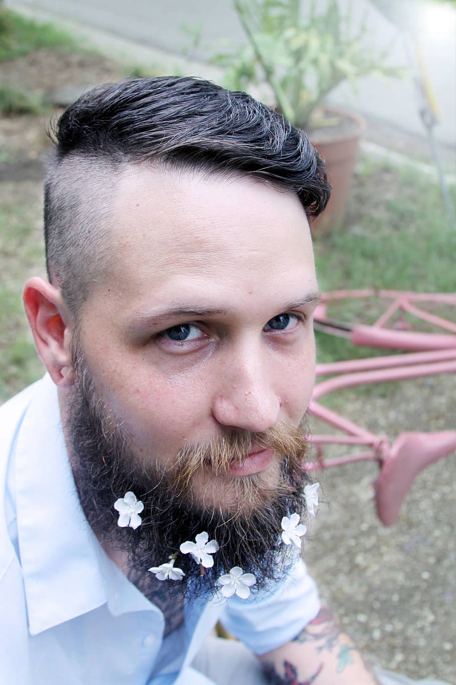 hipster, man, beard, style, flowers, guy, male, outdoors, day, person