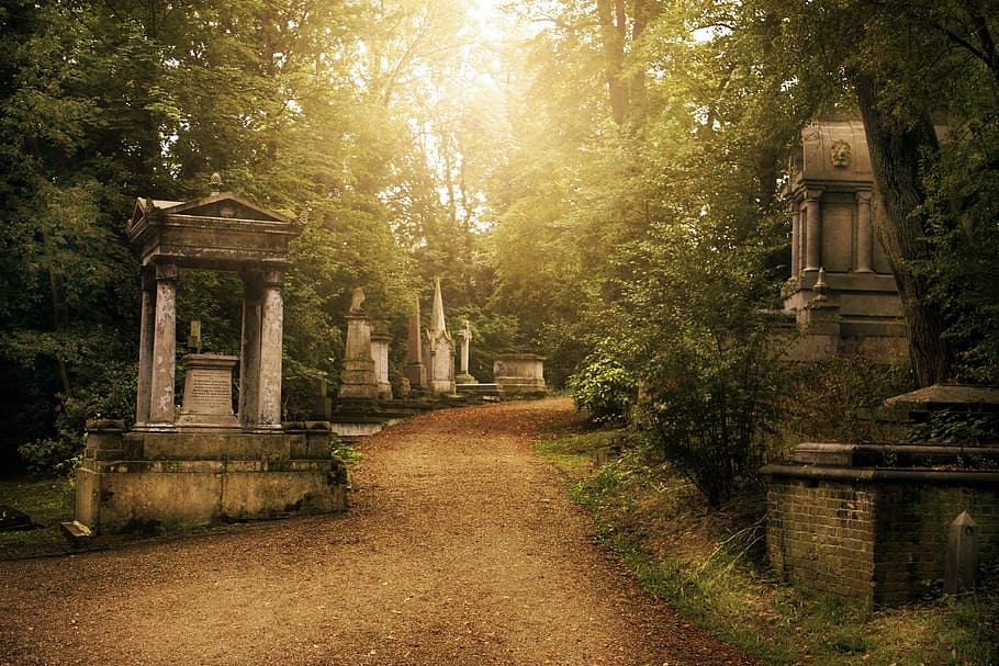 pathway between trees, Graveyard, Cemetery, Grave, Death, cemetery, grave, tombstone, cross, horror, scary