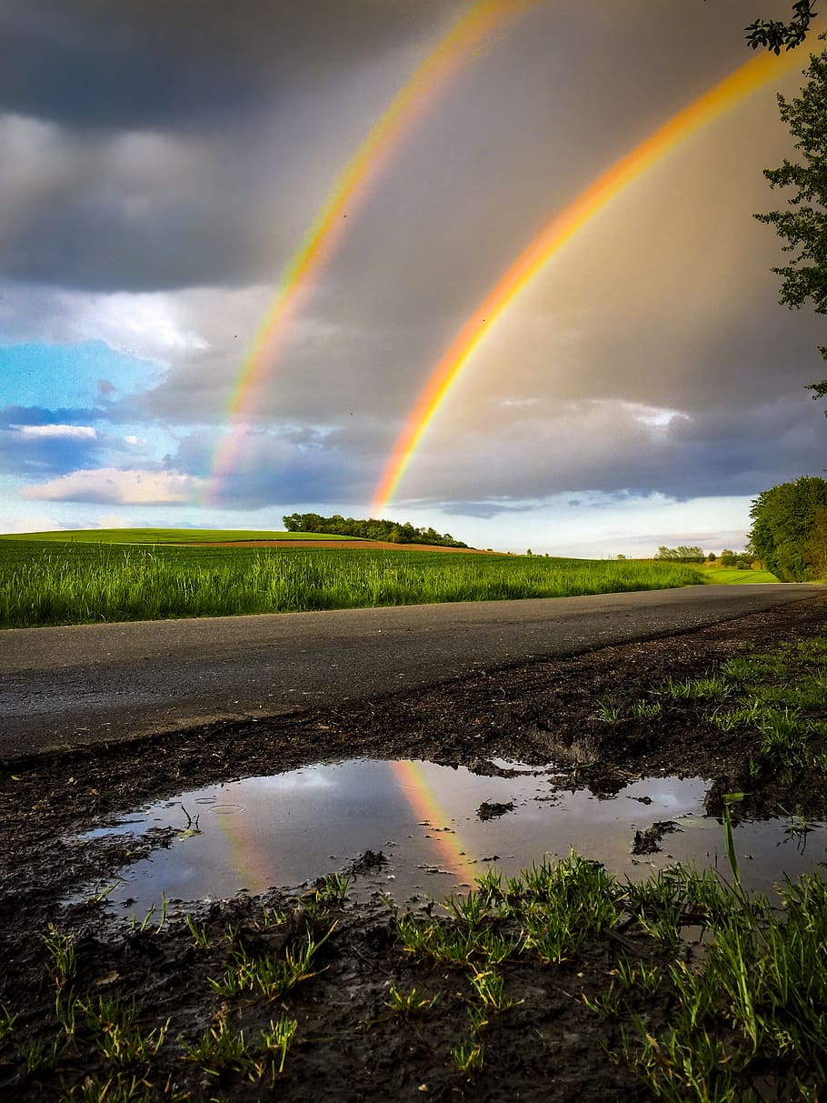 rainbow, green, wheat field, thunderstorm, weather, sky, natural phenomenon, mood, nature, natural spectacle