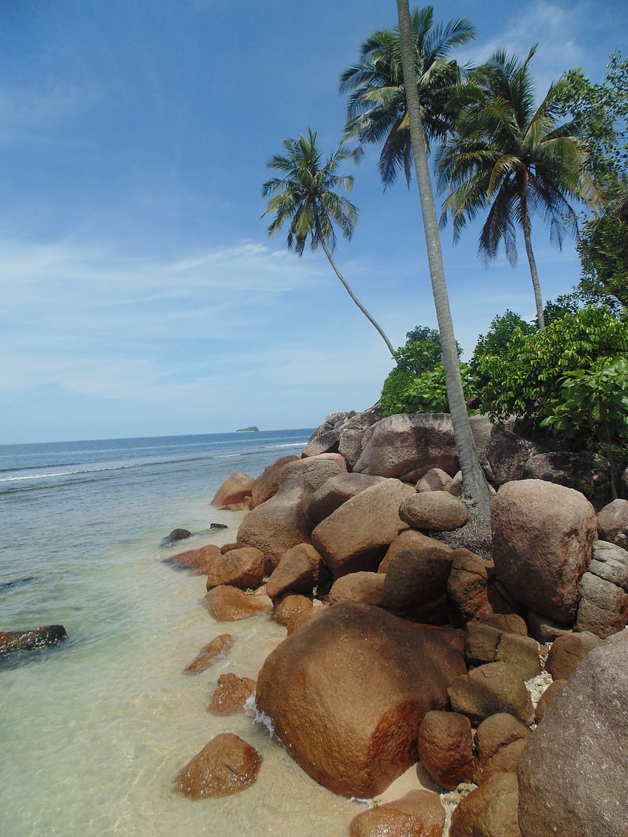 coqueiro marrom, indonésia, sumatra ocidental, turismo, viagem, praia, areia, pedras, rochas, palmeiras
