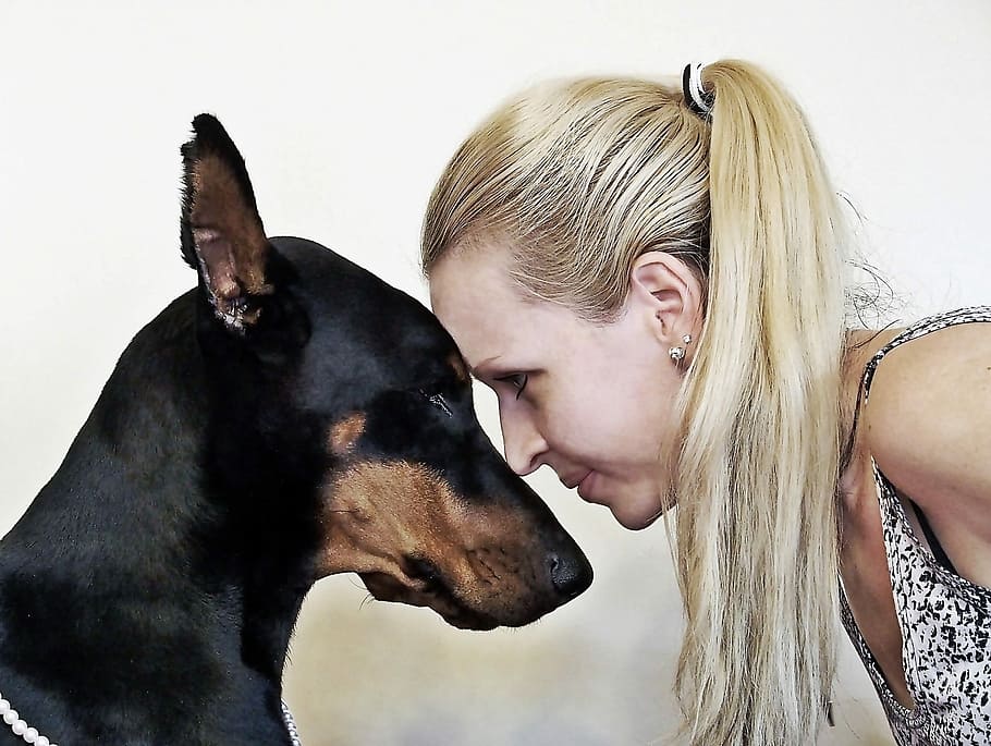 Doberman Blonde Woman Friendship Head Blonde Woman Love Dog