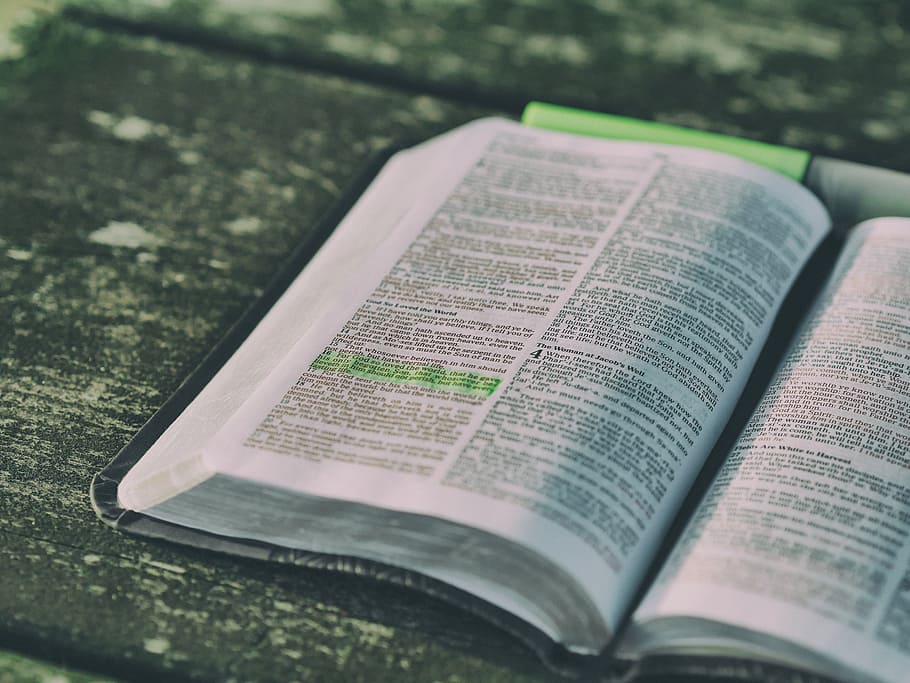 bible, opened, place, grey, board, blur, book, close-up, document, education