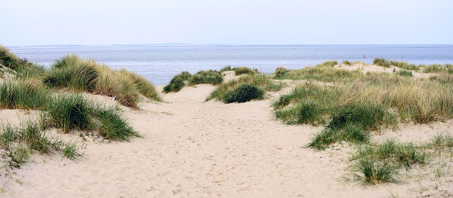 dunas, praia, areia, mar, mar do norte, holanda, texel, férias, costa, grama
