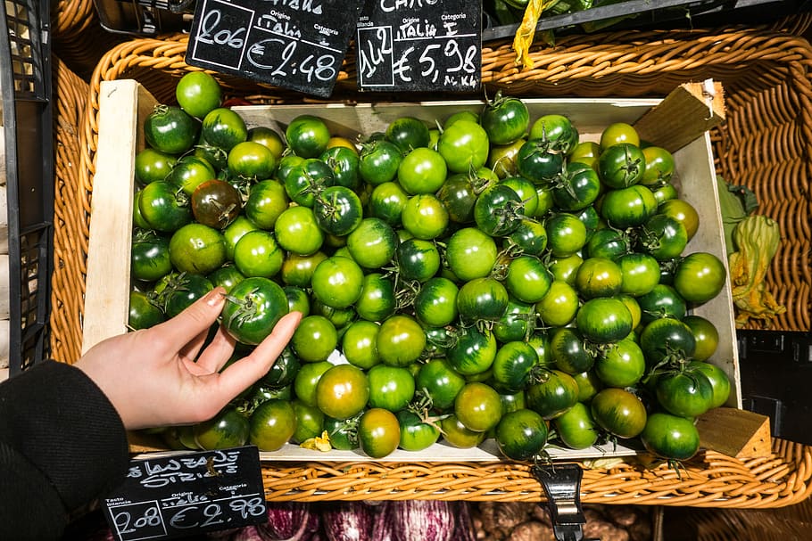 tomat hijau Italia, Italia, tomat hijau, hijau, tangan, tomat, buah, makanan, pasar, toko