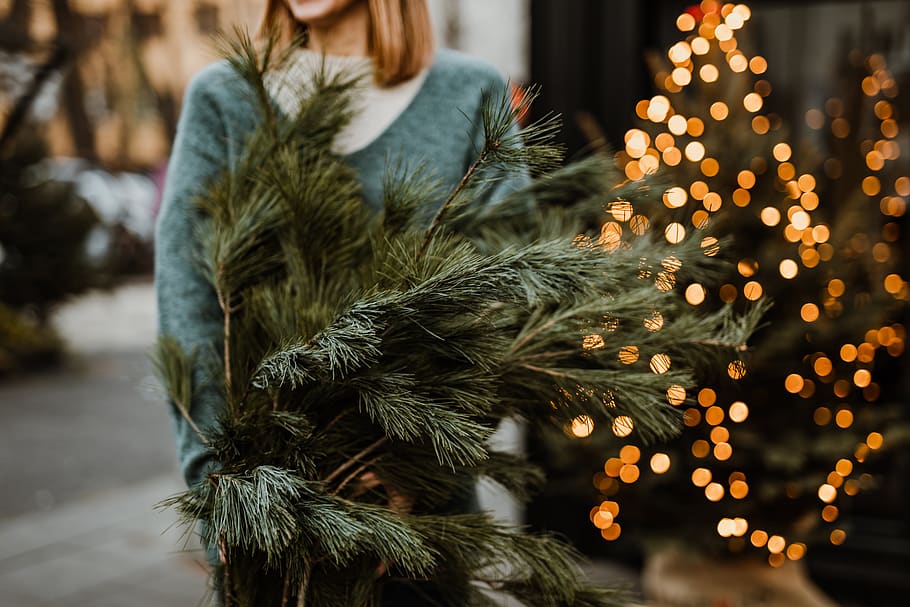 ramas de pino, pino, mujer, árbol de navidad, árbol, rubia, navidad, feriado, diciembre, tenencia