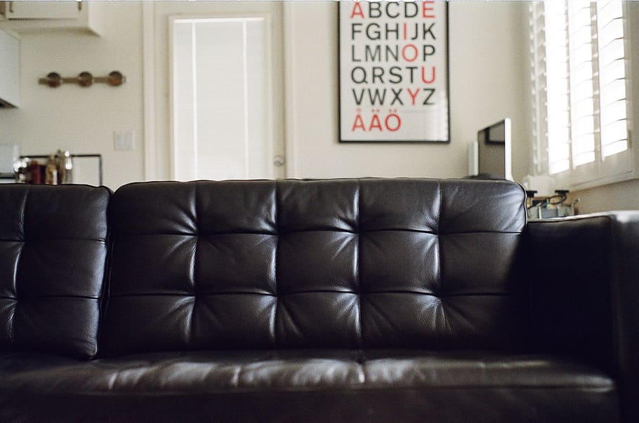 copetudo, negro, sofá de cuero, frente, puerta, casa, apartamento, letras, en el interior, muebles