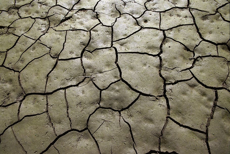 dry land, mud, drought, soil, cracks, clay, footprints, earth, quartered, field