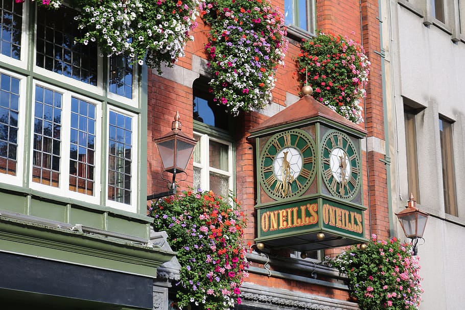 dublin, pub, o'neills, architecture, home, window, building, facade, ireland, clock