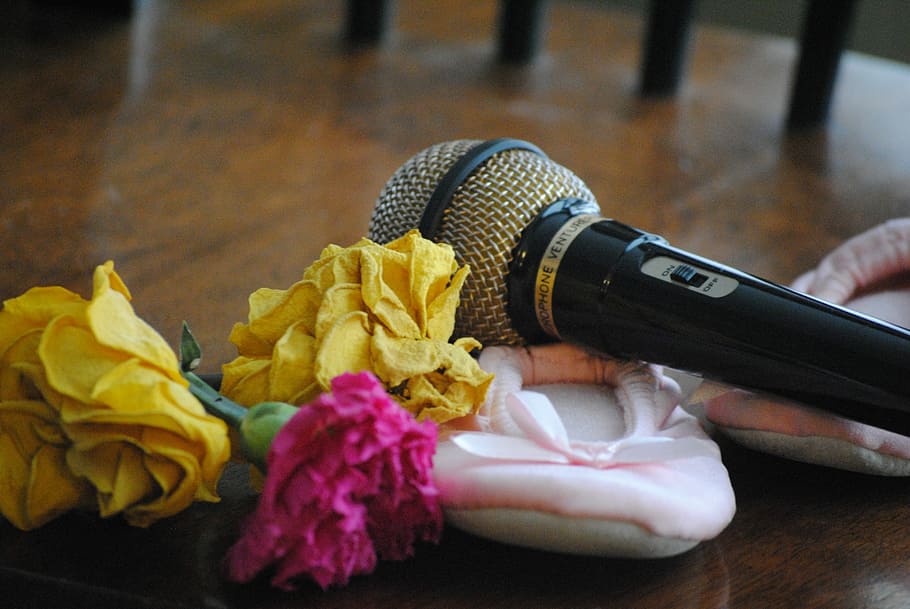 fotografi miring, hitam, mikrofon, bunga, miring, fotografi, mawar, balet, sandal, tari