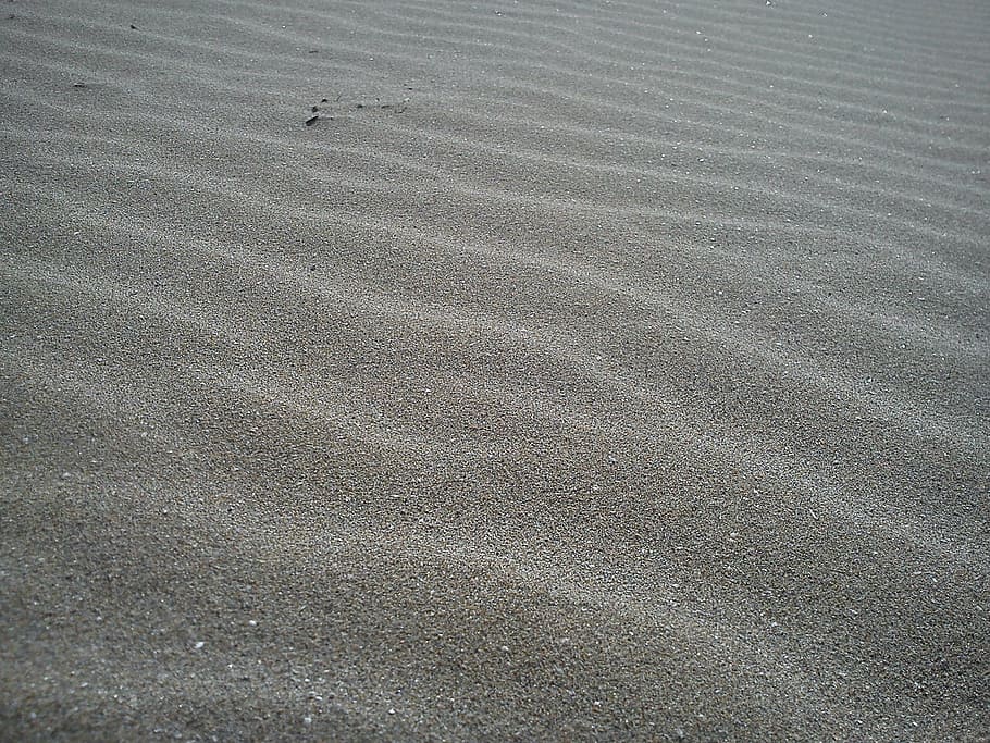 sand, dunes, gone with the wind, dry, beach, sand beach, grains of sand, many, wind, lines