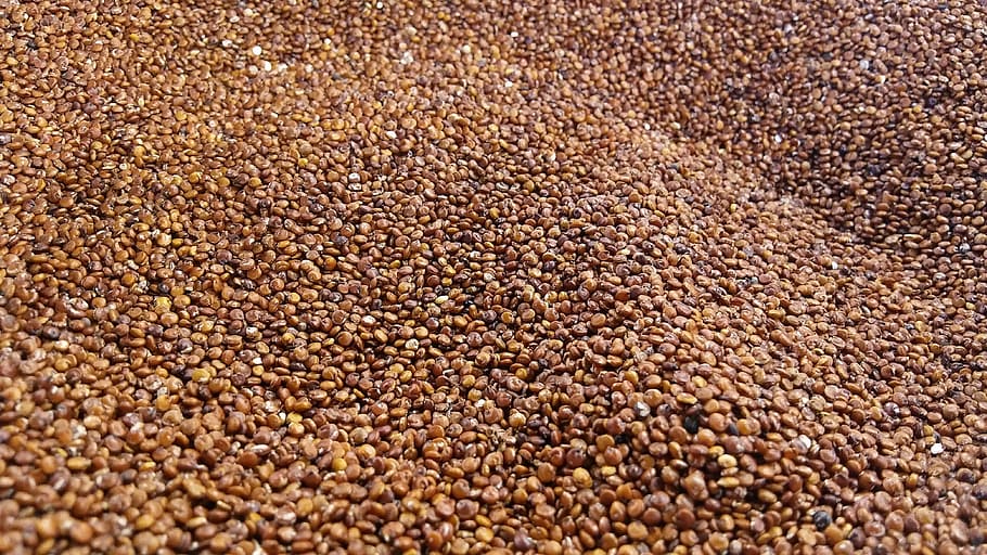 Quinoa, Grain, Cereals, red, food, seed, backgrounds, close-up, brown, food And Drink