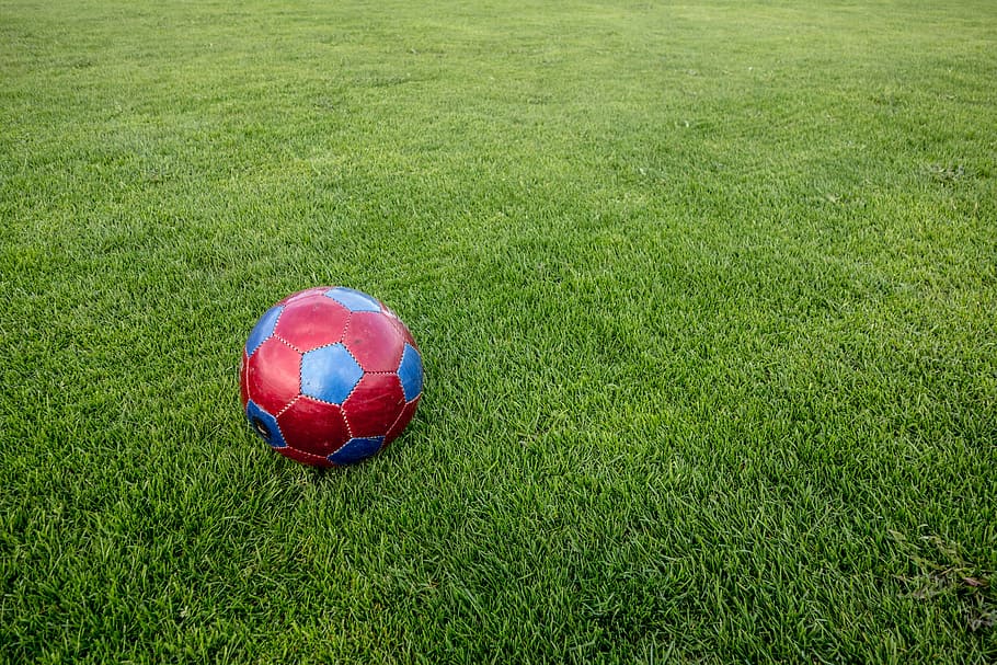 vermelho, azul, bola de futebol, verde, grama, futebol, campo esportivo, terreno, bola, campo de futebol