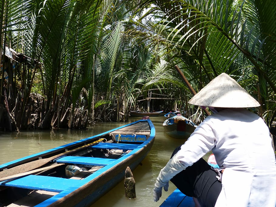 Viet Nam, Boat, Mekong, people, nautical Vessel, men, water, palm Tree, asia, travel