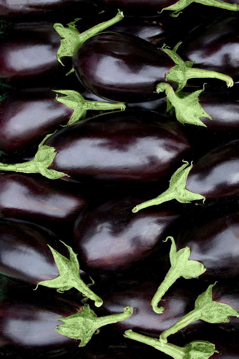eggplant lot, products, food, vegetable, fruit, greet, aubergine, eggplant, healthy food, nature