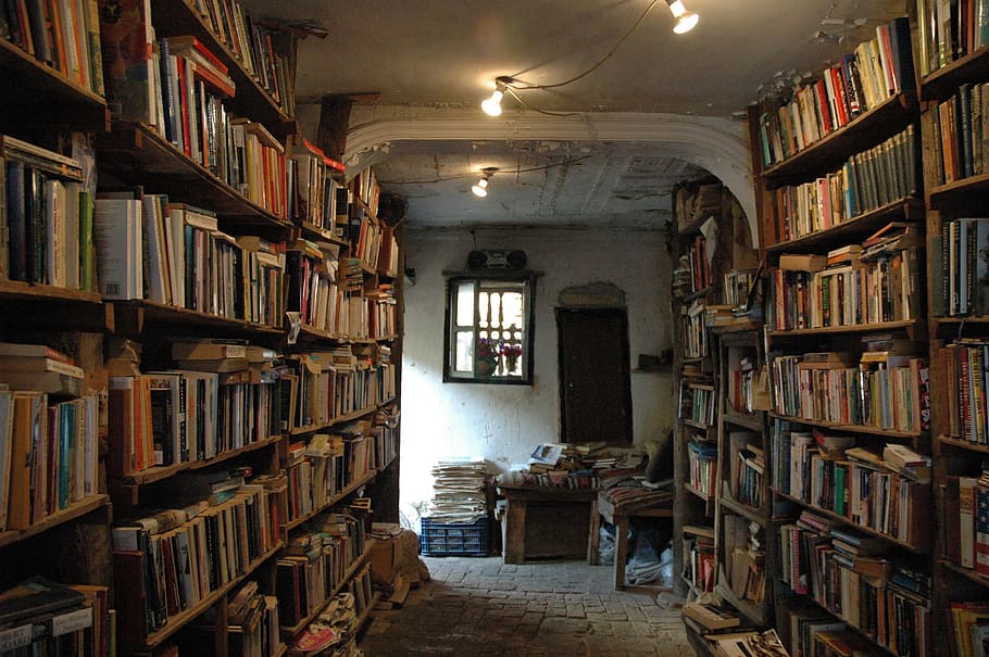 koleksi buku, coklat, kayu, rak, buku, koleksi, perpustakaan, syria, timur tengah, bekas