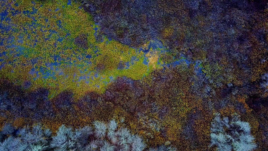aerial, land, colorful, water, nature, outdoors, wetland, natural, pattern, abstract
