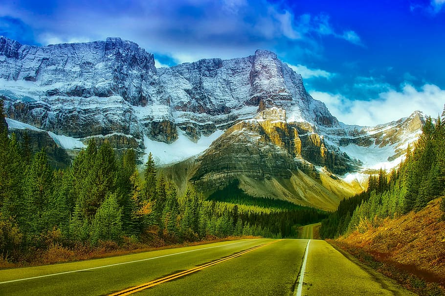 green trees, banff, canada, national park, mountains, sky, clouds, road, journey, travel