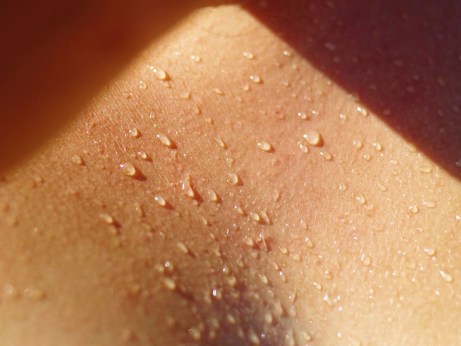 close-up photo, human, kin, sweat, body, fitness, sport, fit, training, active