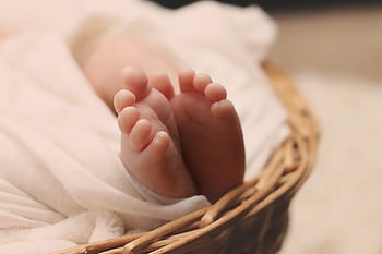 newborn-baby-feet-basket-royalty-free-th