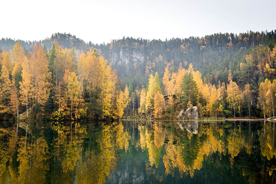 Outono, floresta, lago, cores, verde, paisagem, natureza, outubro, parque, vermelho